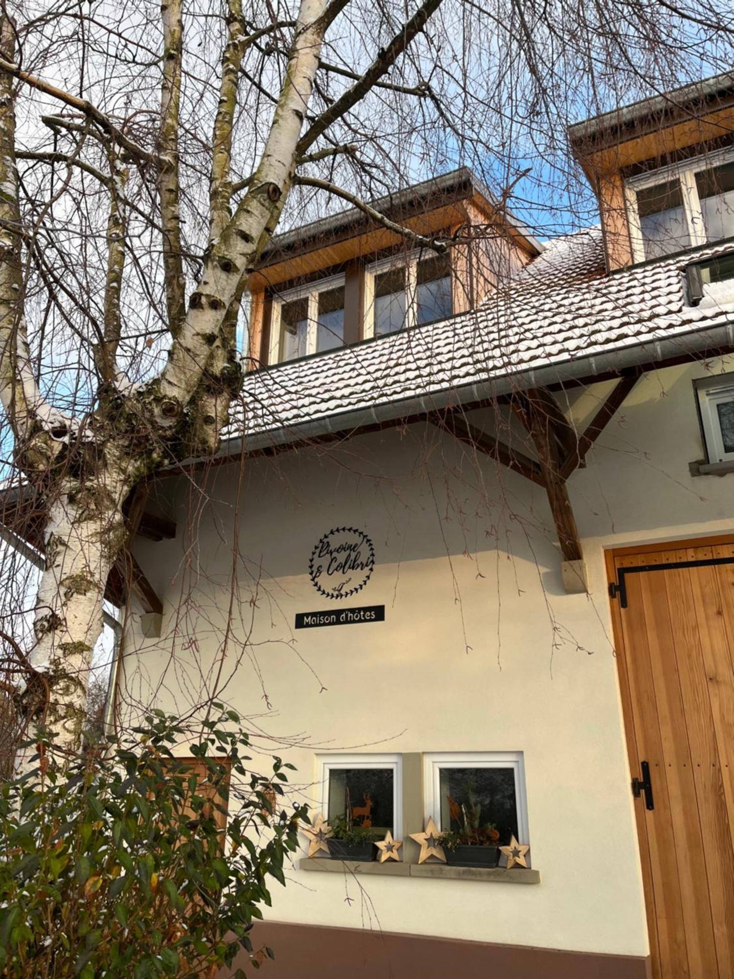 Maison D Hotes Spa Pivoine Et Colibri Domfessel Exterior photo